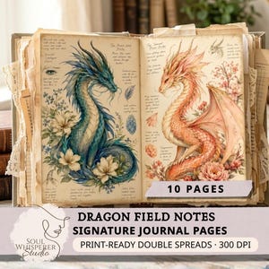 May include: An open book featuring illustrated dragon field notes on two pages. The left page shows a blue dragon with flowers, and the right page shows a pink dragon with floral accents. Both pages contain handwritten-style text and sketches.