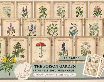Vintage Poison Garden Specimen Cards, Dark Academia Decor, Printable Apothecary Labels, Witchy Junk Journal Ephemera, Botanical Grimoire