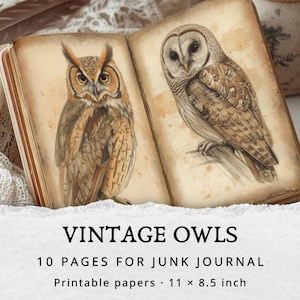Vintage Owls – Junk Journal Pages, Printable Antique Owl Illustrations, Digital Nature Journaling Paper for Scrapbooking & Collage