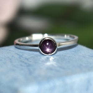 May include: A silver ring featuring a dark purple gemstone. The ring is displayed on a light blue surface, with a blurred pink flower and green leaves in the background. The ring has a slender, polished band.