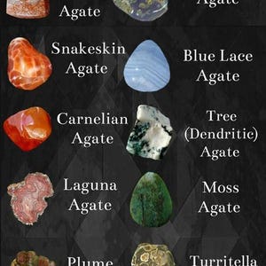 May include: Image displaying different agate gemstones, such as Crazy Lace, Snakeskin, Carnelian, Laguna, Plume, and Fire Agate. Other types include Holly Blue, Blue Lace, Tree (Dendritic), Moss, Turritella, and Botswana Agate. The title "TYPES OF AGATE" is at the top.