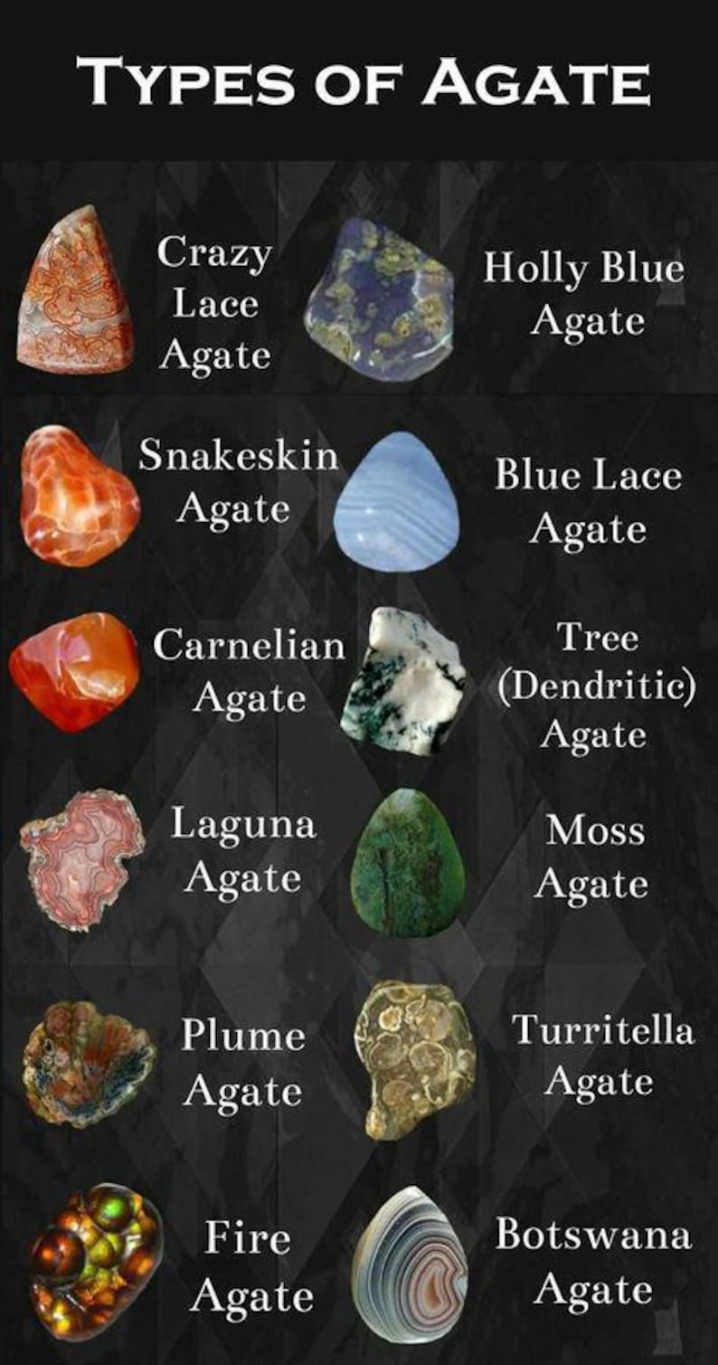 May include: Image displaying different agate gemstones, such as Crazy Lace, Snakeskin, Carnelian, Laguna, Plume, and Fire Agate. Other types include Holly Blue, Blue Lace, Tree (Dendritic), Moss, Turritella, and Botswana Agate. The title "TYPES OF AGATE" is at the top.