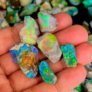 May include: A handful of raw opals with vibrant colors. The opals display a spectrum of colors, including blues, greens, oranges, and yellows, with a rough, natural texture. The opals are set against a neutral background.