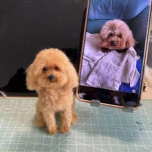 Handmade custom daily dog and cat toys wool felt clone