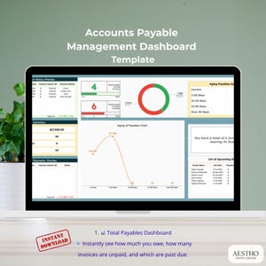 Automated Google Sheets Accounts Payable Template for Tracking Invoices, Vendor Payments, Aging Summary and Due Date Alerts