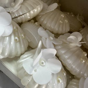 Conchas de perla para recuerdo de boda, cajas de regalo vacías, juego de 10, conchas decorativas hechas a mano para compromiso, despedida de soltera,