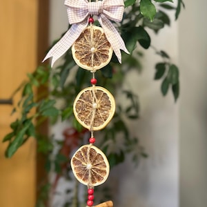Dried Orange Cinnamon Hanging | Rustic Farmhouse Wall Decor | Natural Kitchen Ornament | Holiday Christmas Gift