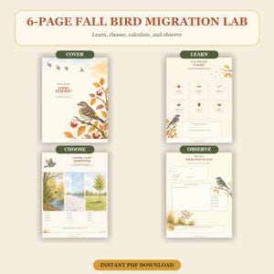May include: A 6-page fall bird migration lab educational printable set. The pages feature illustrations of birds, autumn branches with berries, and sections titled Cover, Learn, Choose, and Observe. Text includes "6-PAGE FALL BIRD MIGRATION LAB" and "INSTANT PDF DOWNLOAD."