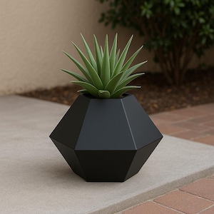Op de afbeelding: Een zwarte, geometrisch gevormde plantenbak met een groene vetplant. De plantenbak heeft een matte afwerking en een veelzijdig ontwerp. De plant heeft lange, puntige groene bladeren. De plantenbak staat op een betonnen oppervlak.