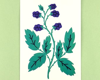 Blackberry Branch A5 Botanical Print