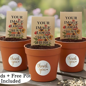 Paquetes de semillas de flores silvestres con macetas gratis, paquete de semillas personalizado, logotipo personalizado para bodas y eventos corporativos, recuerdos de marca, regalos navideños