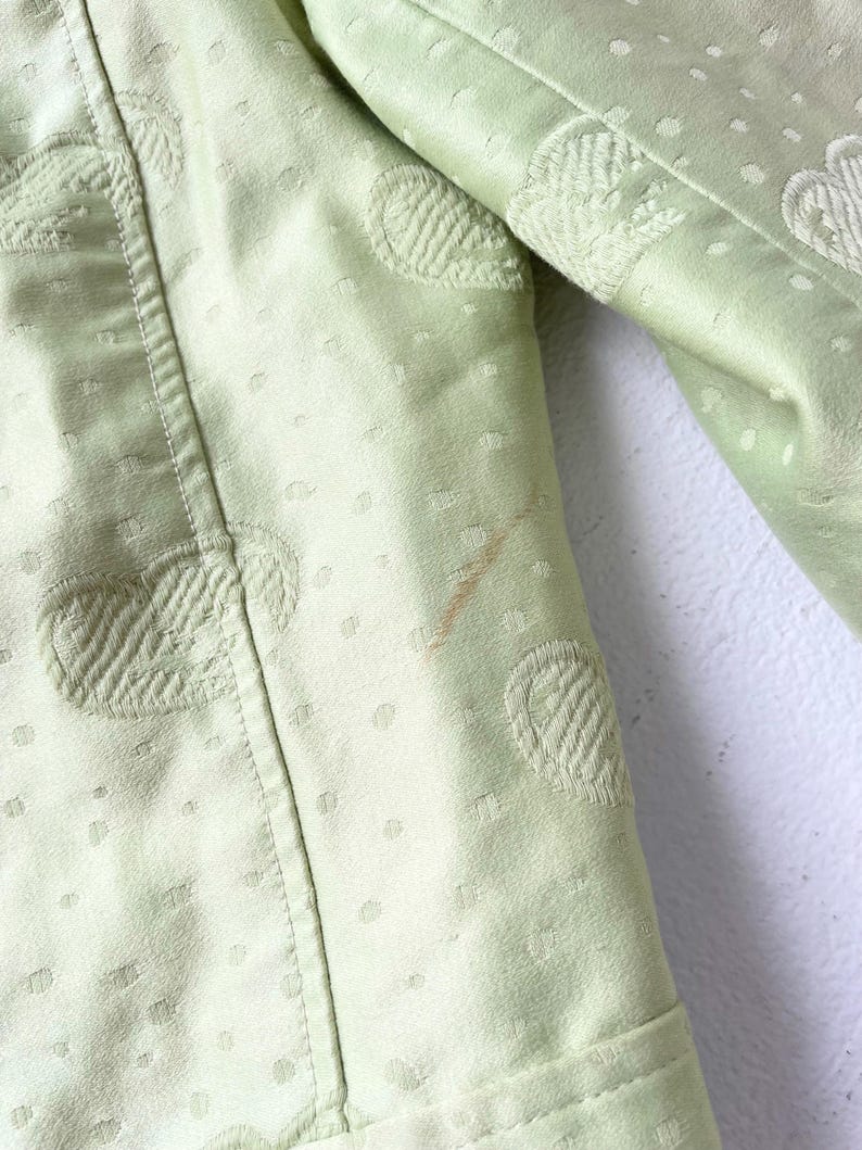 Puede incluir: Primer plano de una chaqueta verde claro con una superficie texturizada. La chaqueta presenta dise&ntilde;os circulares y florales bordados, junto con peque&ntilde;os patrones de puntos. Una mancha marr&oacute;n es visible en la tela.