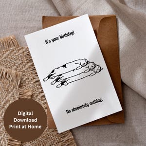 Cartão de aniversário para impressão, cartão com tema de gato, saudação de gato, cartão de aniversário engraçado para amantes de animais de estimação, donos de gatos, mãe, pai, amigo, download digital