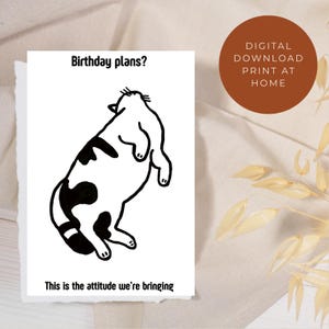 Printable Birthday Card, Cat theme card, Cat greeting, Funny Birthday card for pet lover, cat owner, Mom, Dad, friend, Digital Download