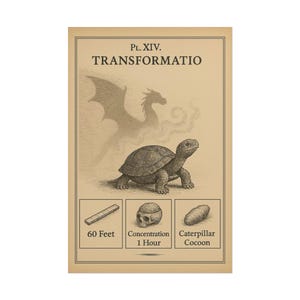 Puede incluir: Una impresión de estilo vintage con el título "TRANSFORMATIO" y una ilustración de tortuga. Presenta una silueta de dragón e ilustraciones de una calavera, un capullo de oruga y una barra etiquetada como "60 Feet" (aproximadamente 18,3 metros).