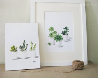 Succulent Watercolor Print Set - Any TWO Succulent Art, Succulent Print / 8x10 OR 8x11 Botanical Prints, Modern Home Decor