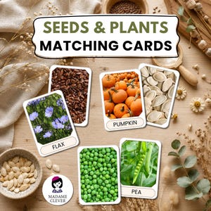 May include: A set of educational matching cards titled SEEDS & PLANTS MATCHING CARDS. The cards feature photographic images of flax flowers, flax seeds, pumpkins, pumpkin seeds, green peas, and pea pods with labels. Includes a Madame Clever logo.