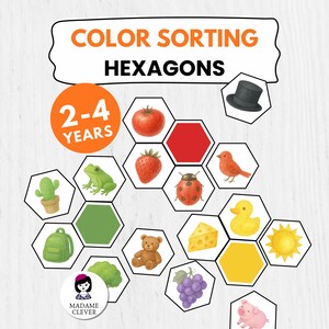 Jogo Montessori de Classificação de Cores – 84 cartas com formato de hexágono, Combinação de Cores, Quebra-cabeças de Classificação de Cores, Atividade Pré-escolar