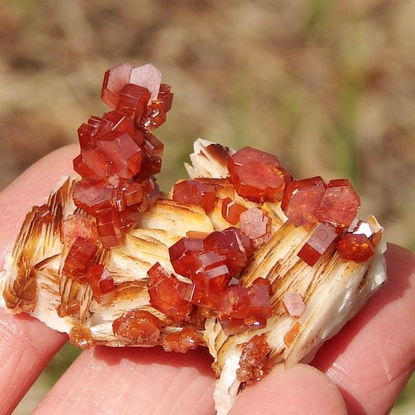 Morocco White bladed Barite Cherry Summer Red Vanadinite Crystal cluster collectable mineral specimen MVB 9, Fathers day gift, Summer