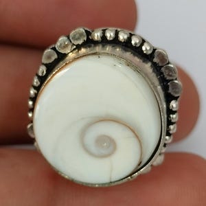 May include: A ring featuring a circular white shiva eye shell with a natural brown spiral pattern. The shell is set in a metallic frame decorated with a series of small, raised silver-toned beads along the outer edge of the circular setting.