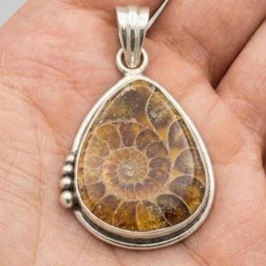 May include: A teardrop-shaped pendant with a silver frame. The pendant features a polished, fossilized ammonite with a spiral pattern in shades of brown and gold. The bail is silver, and there are three small silver beads on the side.