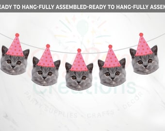 May include: A banner featuring five gray cat faces wearing pink party hats with star patterns. The banner is ready to hang and fully assembled. The text "READY TO HANG-FULLY ASSEMBLED" is at the top. The banner is for party supplies, crafts, and decor.