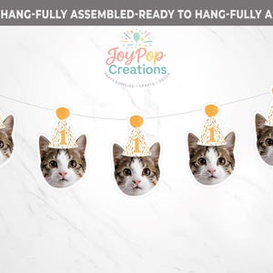 May include: A banner featuring five cat faces wearing party hats with the number 1. The hats are white with gold confetti and a gold pom-pom. The cat faces are brown, white, and gray. The banner is strung on a white string.