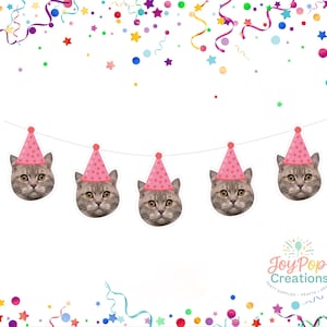 May include: A party banner with five cat faces, each wearing a pink party hat. The cats have grey and white fur and yellow eyes. The banner is strung on a white string, with colourful confetti and streamers.