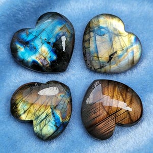 May include: Four heart-shaped labradorite stones with iridescent blue, gold, and brown hues. The polished stones are displayed on a blue surface, showcasing their natural patterns and colors. These stones are ideal for jewelry making or collecting.