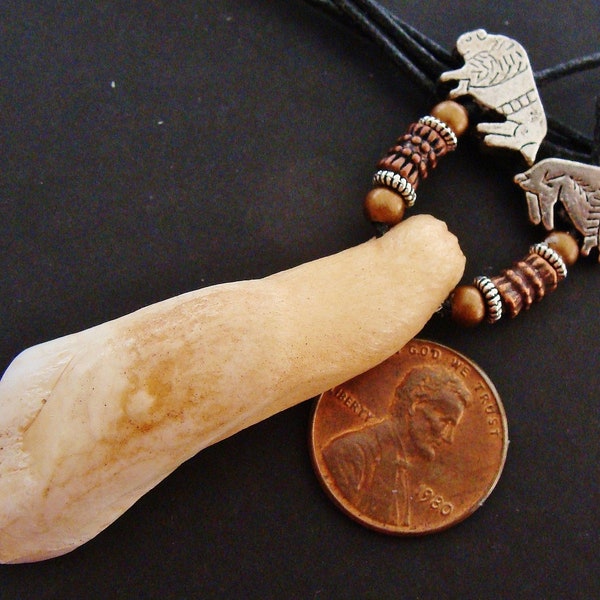 WATER BUFFALO Bison TOOTH - almost 2 in. with Unique Beadwork by Betsy Stoinoff - Primitive Style