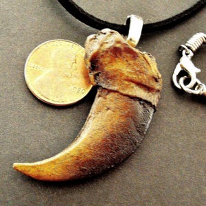 BEAR CLAW replica Pendant Necklace JEWELRY on black cord