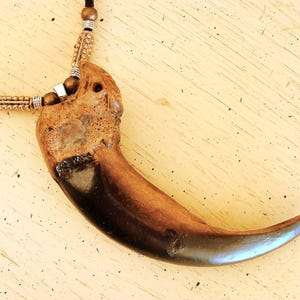 May include: A pendant necklace featuring a large, curved, dark brown claw-shaped object suspended from a black cord. The cord is accented with metallic bronze-colored beads and small silver-toned spacers, creating a detailed and textured appearance.