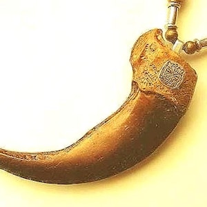May include: A brown claw-shaped pendant suspended from a beaded necklace. The pendant features a textured surface with a small, square silver-toned metal accent piece embedded near the top. The necklace includes silver-toned cylindrical beads.
