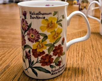 Vintage Roy Kirkham Garden Flowers Coffee Mug, Fine Bone China