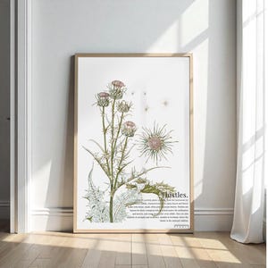 Lámina botánica de cardo – Ilustración vintage de plantas para pared – Póster botánico para cocina, dormitorio y oficina – Descarga digital
