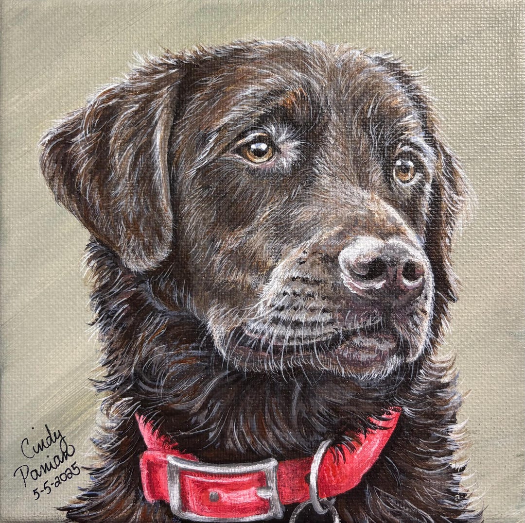 Custom Hand Painted or Drawn Pet Portraits - Etsy