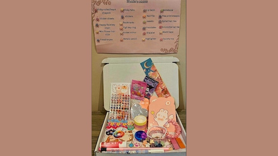 Aesthetic Mystery Gift Box: Fun, Practical, Adorable Items