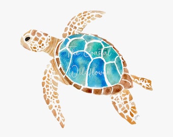 Blue Sea Turtle Watercolor Print