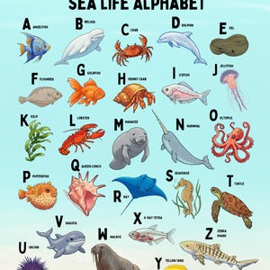 Sea Life/Ocean Alphabet Digital File Wall Decor for Nursery, Child&#39;s Room, Classroom Decor