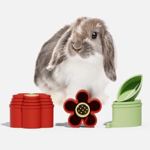 Könnte beinhalten: Ein grau-weißes Kaninchen sitzt hinter roten und grünen Haustierzubehör. Das Zubehör umfasst ein blütenförmiges Spielzeug, ein grünes blattförmiges Spielzeug und einen Satz roter Stapelbehälter.