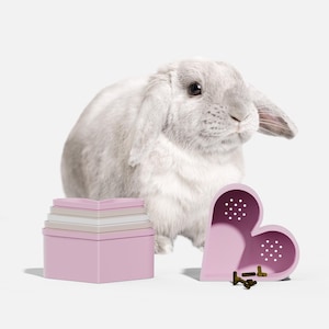 Può includere: Un coniglio grigio è seduto vicino a una scatola rosa impilabile e a un contenitore rosa a forma di cuore con piccoli fori. La scatola ha una base quadrata e una serie di strati più piccoli e di colore più chiaro. Il contenitore a forma di cuore ha un design perforato.