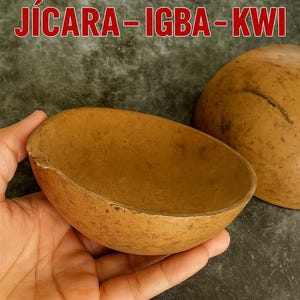 May include: A 6-inch calabash offering vessel, held in a hand. The vessel is a natural brown color, with a rounded shape. The text "JICARA - IGBA - KWI" is at the top.