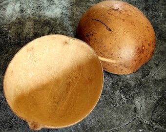 Calabash Gourd Jicara: Santeria Orisha Offerings kwi calbasse marassa vodou palangana omiero oricha lucumi Elegua osain