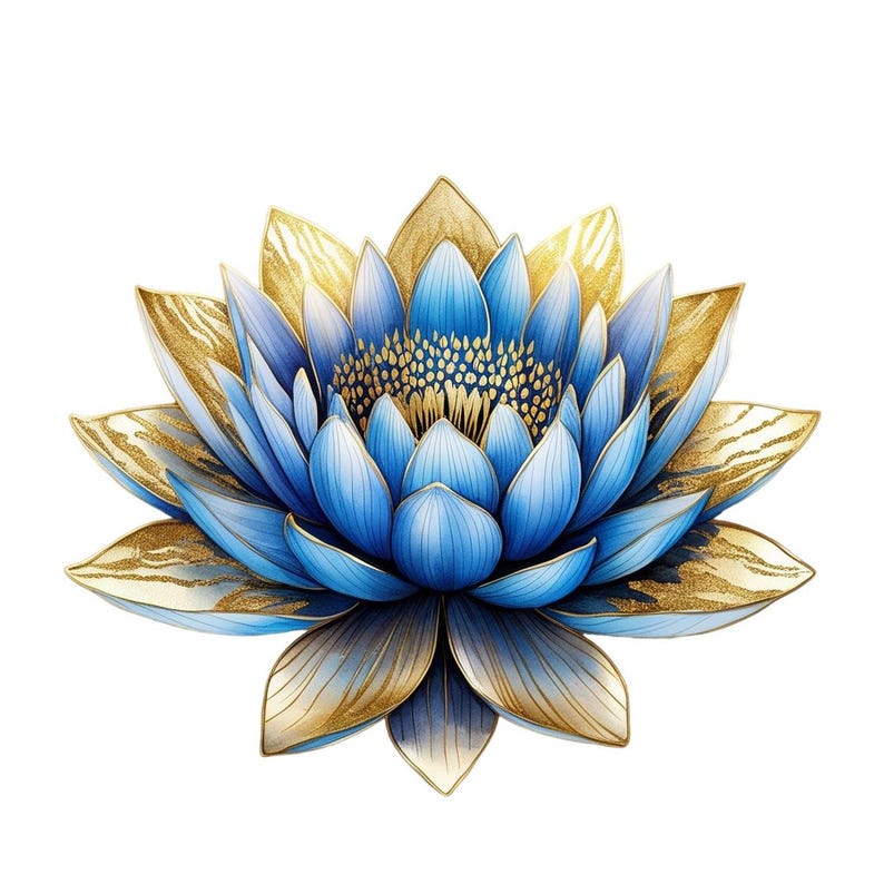 Blue and Gold Lotus Clipart Bundle: Hummingbird PNG (digital Download ...