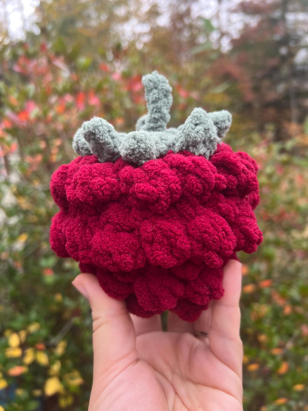 Handmade Plush Raspberry: Baby Sensory Toy & Decor - Etsy