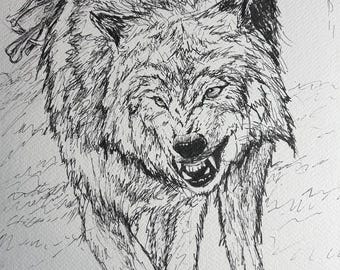 Wolf Ink Drawing