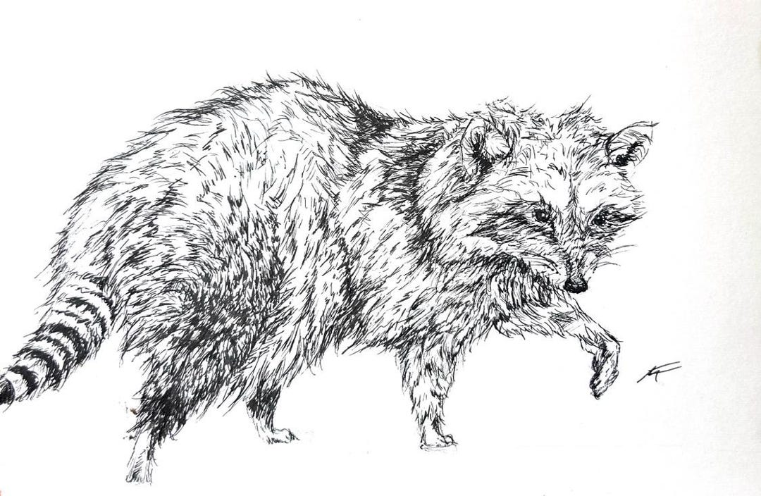 Custom Ink Drawings Etsy