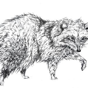Custom Ink Drawings