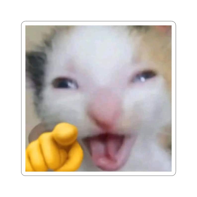 Cat Sticker Reacction Funny Reaction Cat Meme Stickers | Tiktok GIF Style Kiss-cut Stickers ...