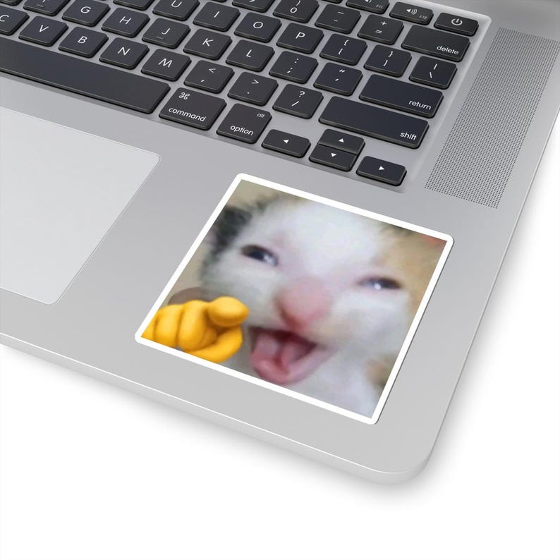 Cat Sticker Reacction Funny Reaction Cat Meme Stickers | Tiktok GIF Style Kiss-cut Stickers ...